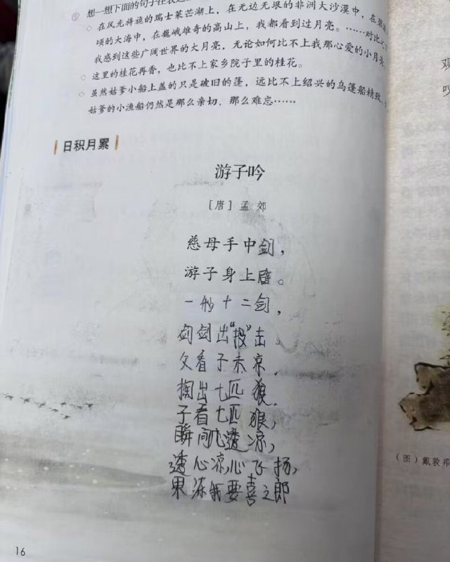 吃瓜研究所