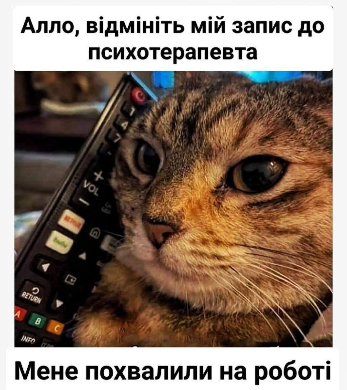 [чікибомбастер ***🐸***](https://t.me/chikibomb)