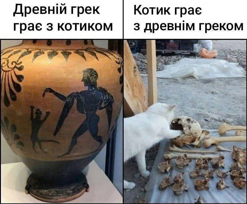 [чікибомбастер ***🐸***](https://t.me/chikibomb)