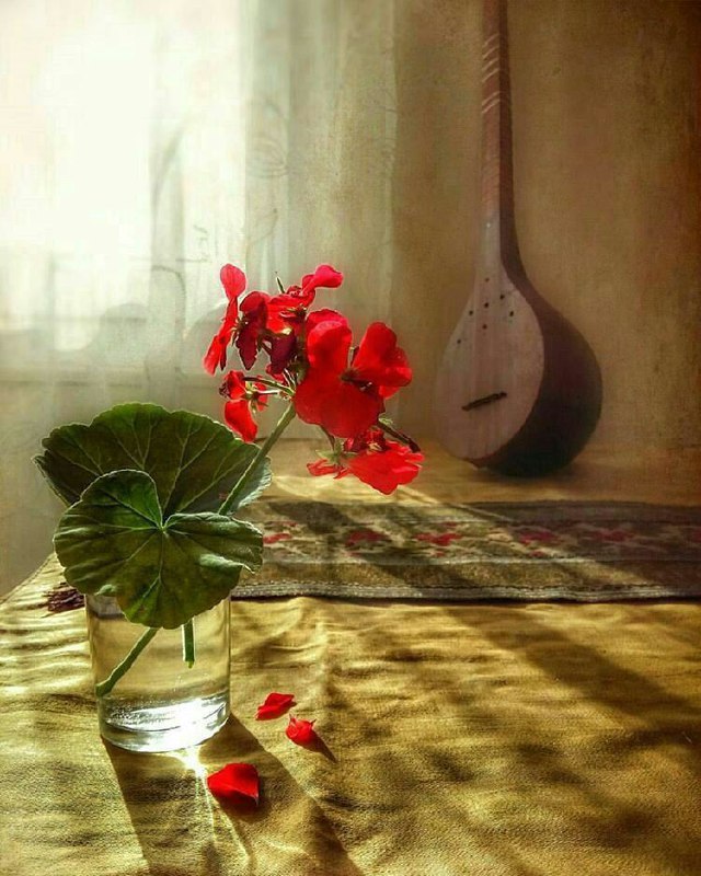 *****☑️*** انسانهای صادق