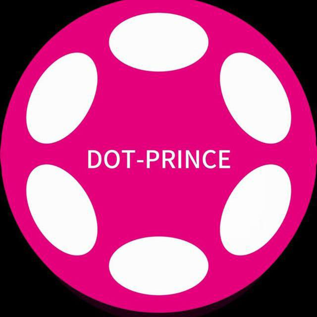 波卡王子DOT-PRINCE协议！