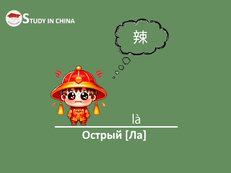 STUDY IN CHINA 🇨🇳