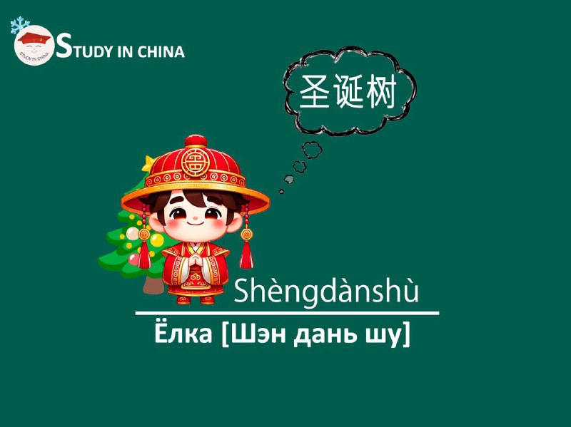 STUDY IN CHINA 🇨🇳