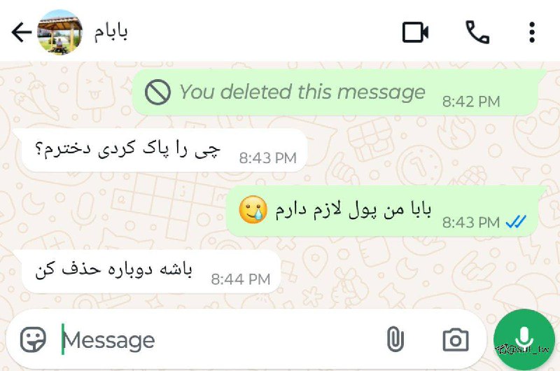 پدر نمونه