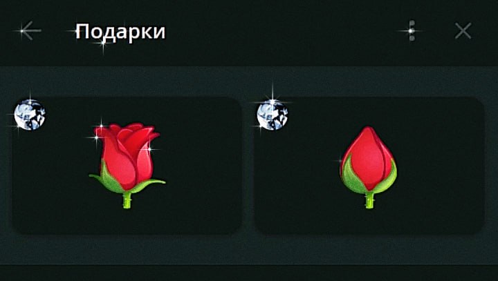 ⊹˚ʚ Чокапупс ɞ˚⊹