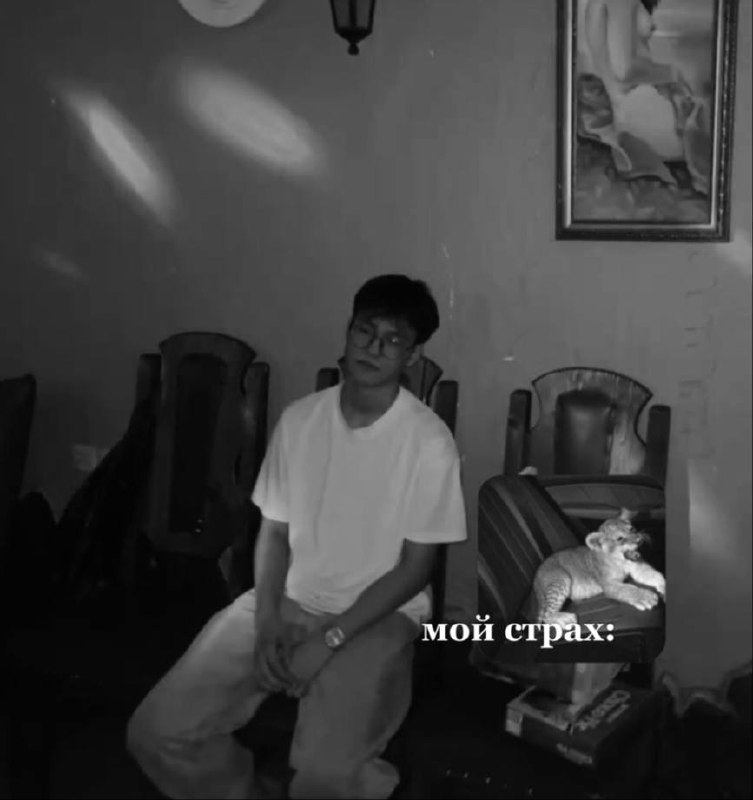 чоля