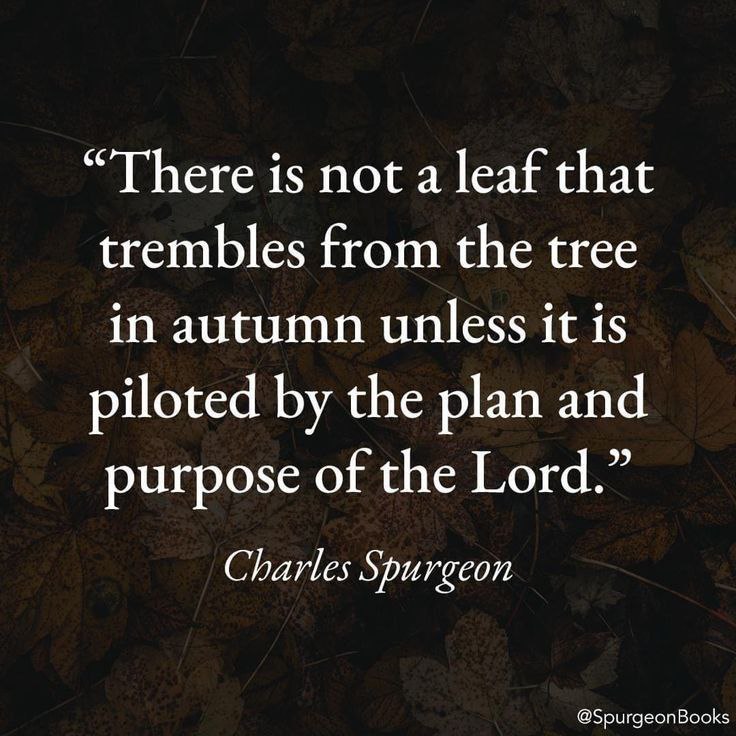 CHARLES SPURGEON QUOTES