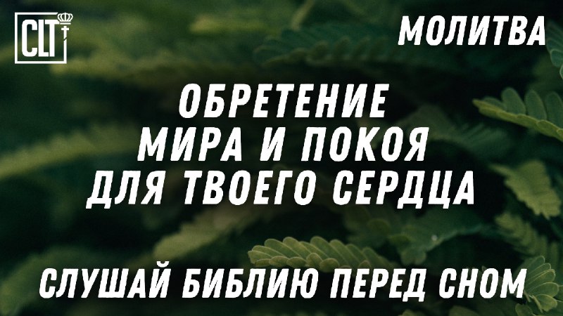 Господи, наполни сердце моего друга миром, …