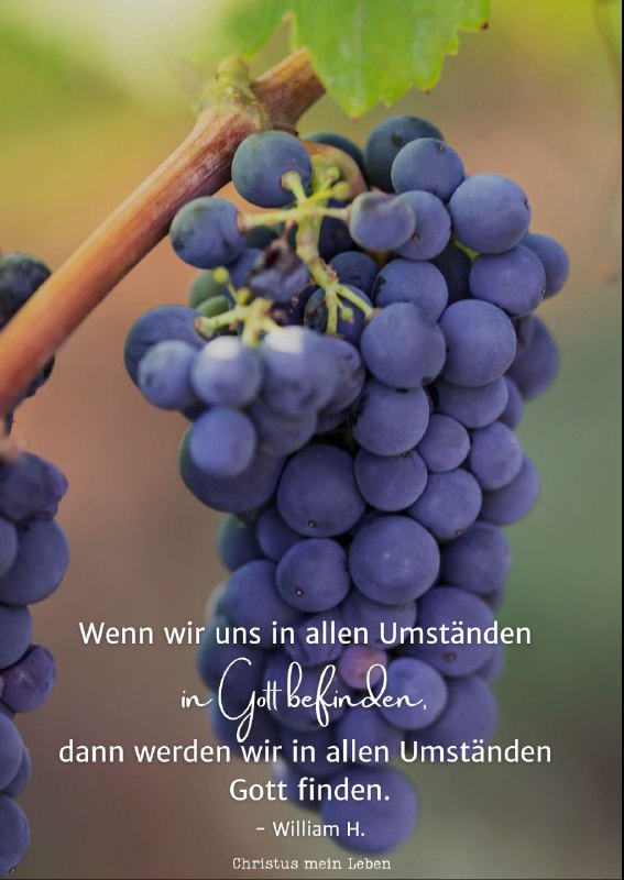 Wenn wir uns in allen Umständen …
