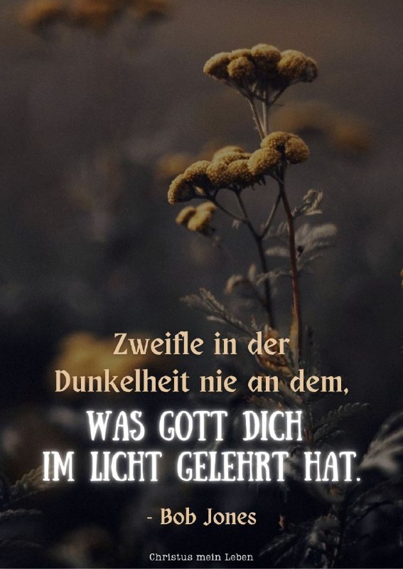 Zweifle in der Dunkelheit nie an …