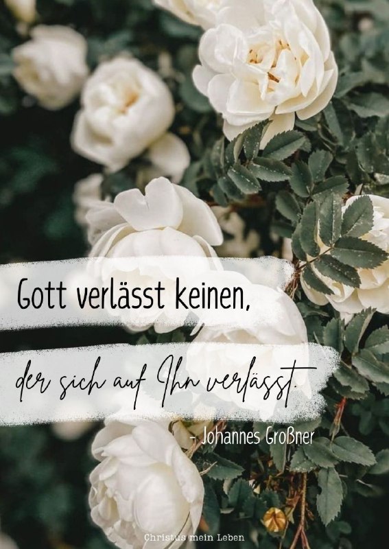 Gott verlässt keinen, der sich auf …