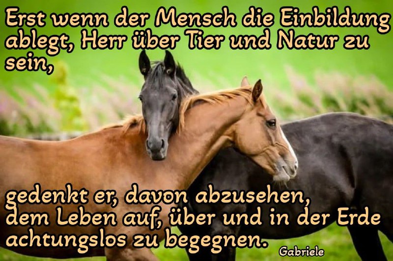 [**@ChristuswegzurWahrheit**](https://t.me/ChristuswegzurWahrheit)