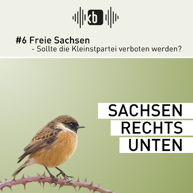 ***?***[#Sachsen](?q=%23Sachsen) rechts unten – Der Podcast …