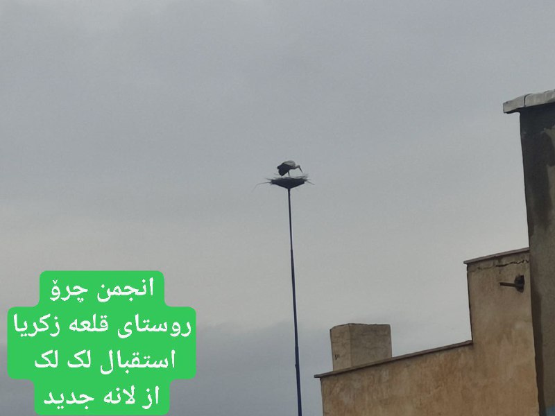 انجمن چرۆ