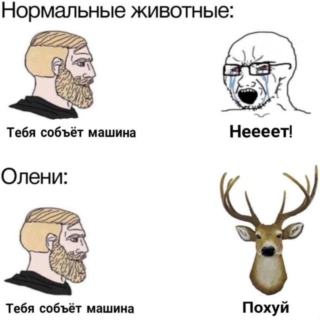 че за темки?