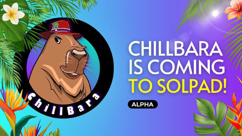 $CHILL - ChillBara ***👍***