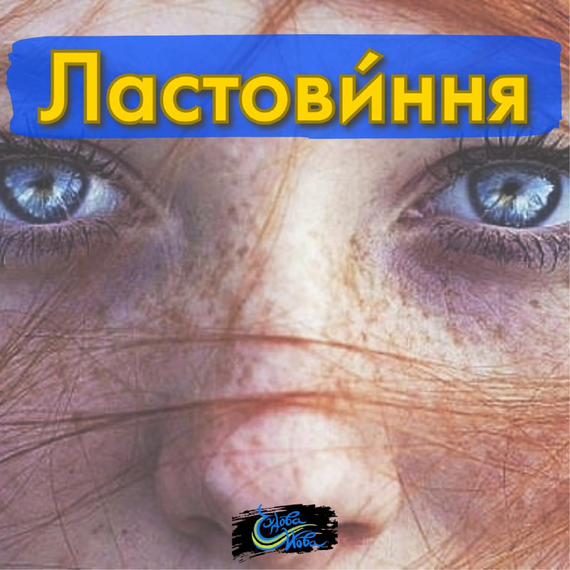 **ЛАСТОВИ́ННЯ** я, с., *збірн.*