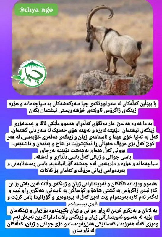 **با بهێڵین کەڵەکان لە سەر لووتکەی …