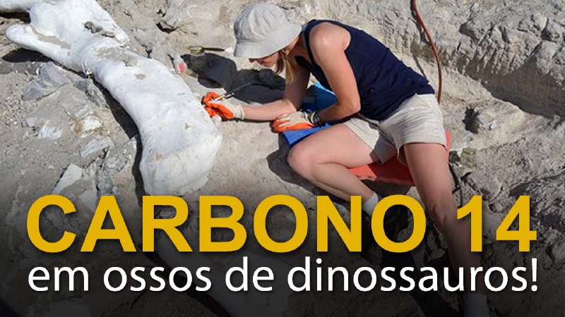 C-14 em fósseis de dinossauros...e agora …