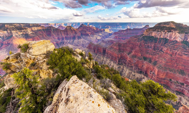 Grand Canyon fossils reveal secrets that …