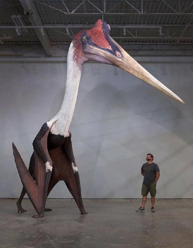 **Quetzalcoatlus Northropi — el animal volador …