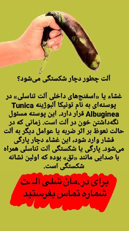 درمان اختلالات جنسی | طب گویا