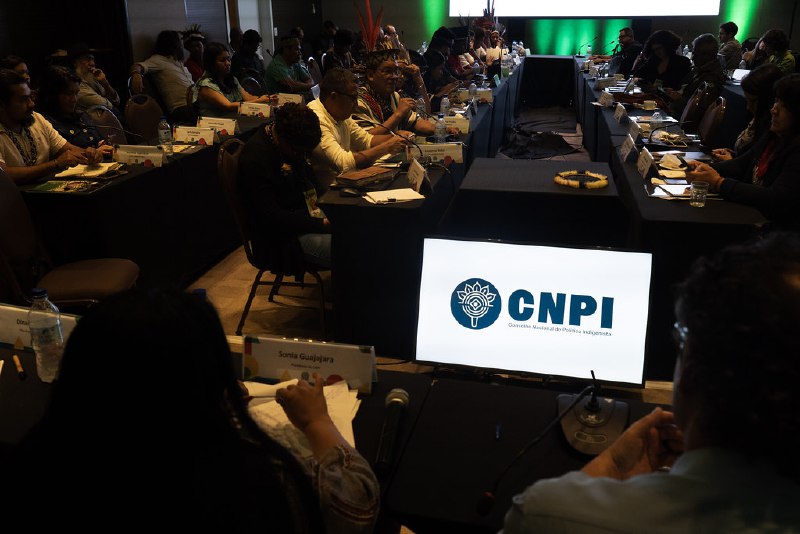 ***🏹*** **3º Reunião CNPI - Brasília …