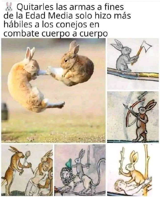 Ciudadela del Shitpost