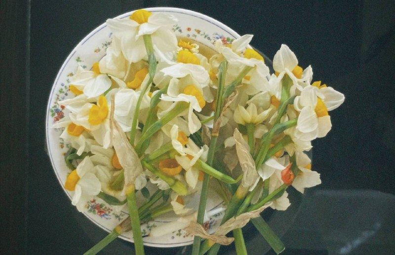 کندو