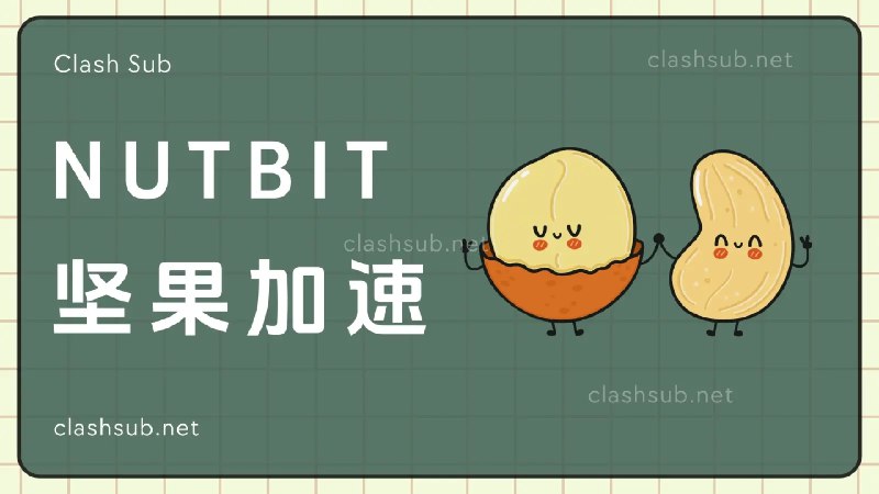 Nutbit 坚果机场怎么样？Nutbit 机场2024最新评测