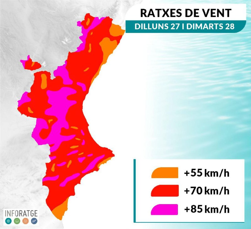 Ajuntament d'Alzira