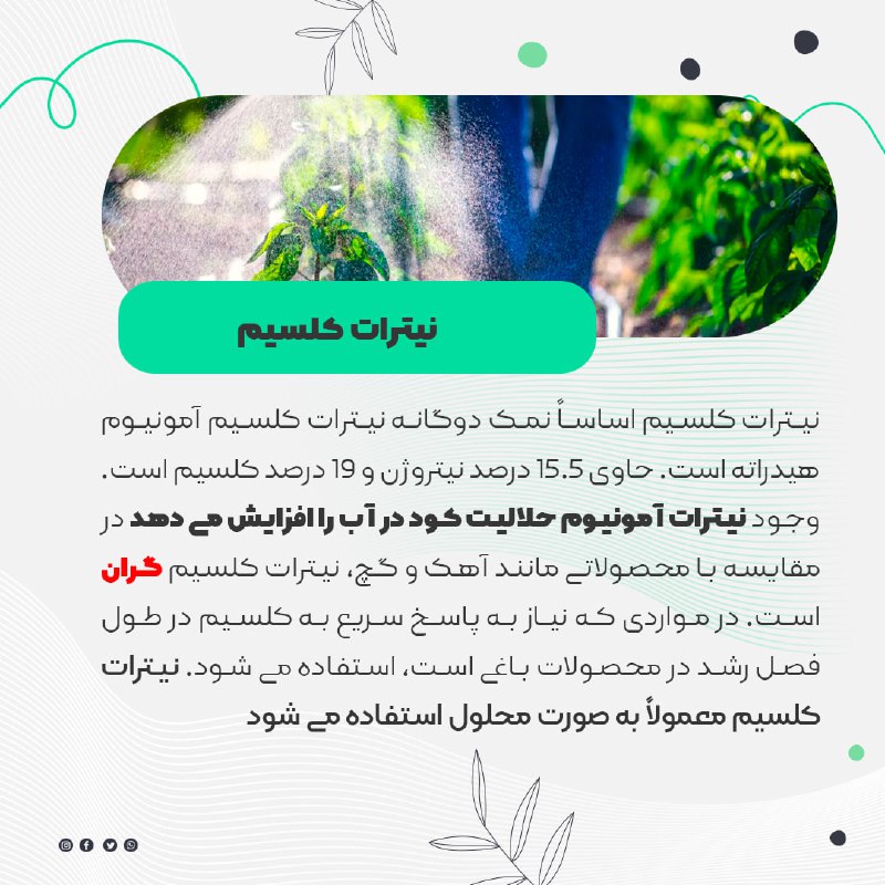 کلینیک گیاه پزشکی