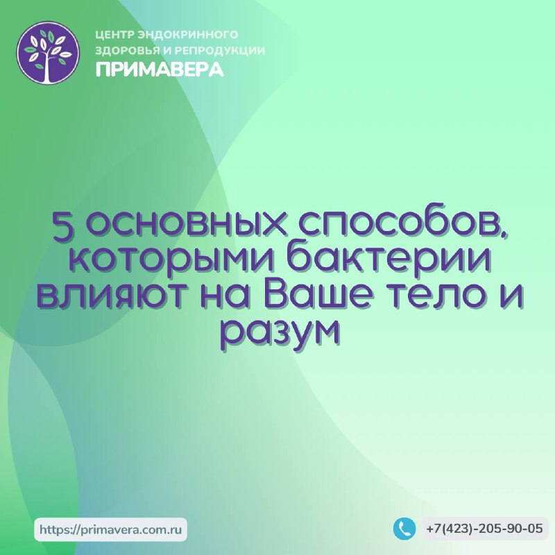 5 основных способов, которыми бактерии влияют …