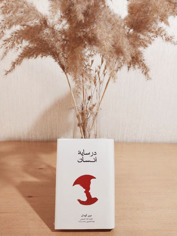 cnbooks |کتابخانه مدرسه طبیعت