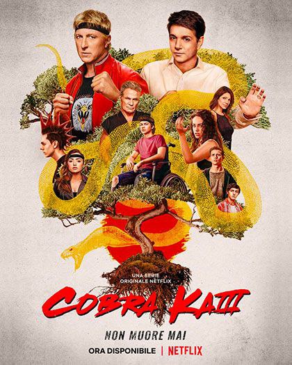 Tutte le stagioni di Cobra Kai …