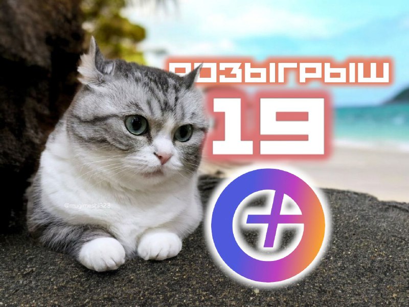 ***🤑*** Розыгрыш 19 подписок Яндекс плюс!