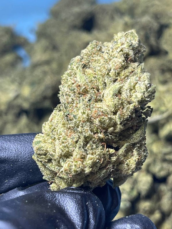 **Gorrila Glue #4 aka GG4