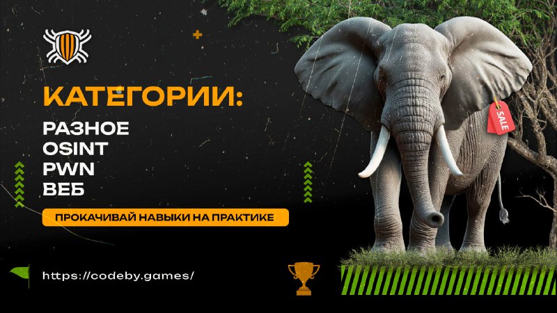 *****🚩*** Новые задания на платформе Codeby …