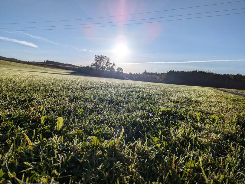 Mit diesem wunderschönen Bild aus dem …