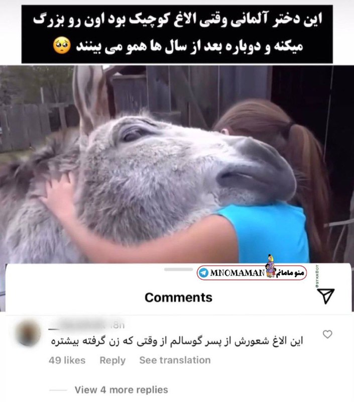 مادرشوهرا دلشون از پسرشون پره***?******?***