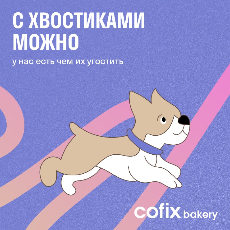 **С хвостатыми можно** *****🐶*****