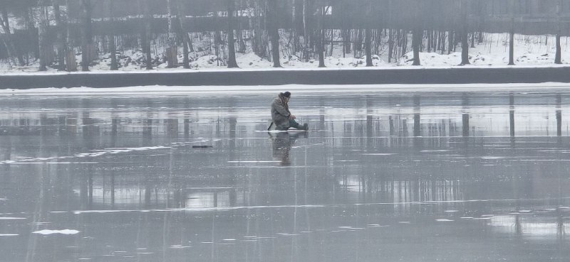 В ПОИСКАХ НЕМО!