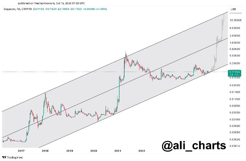 DOGE может вырасти намного выше $1 …