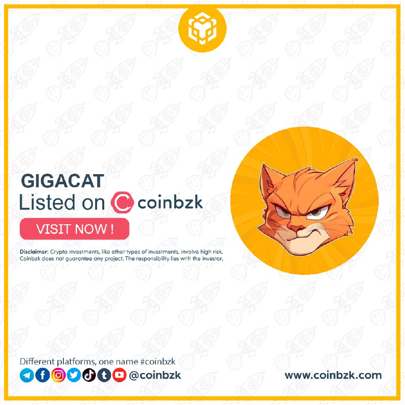 ***✨*** **Coinbzk Listing - BSC Chain** …