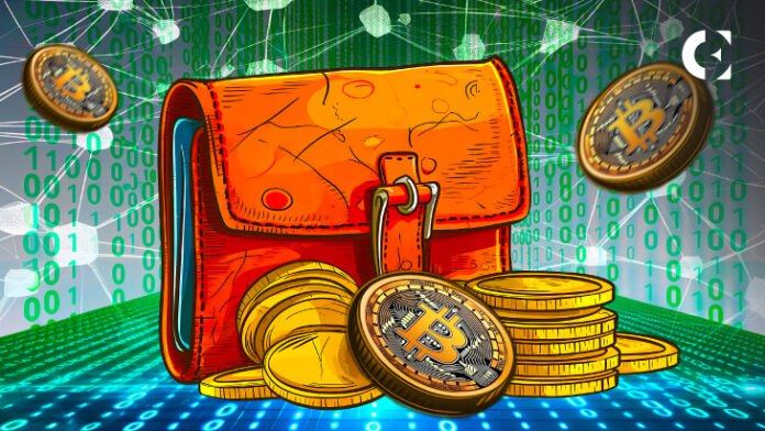 **CryptoRank listet die besten Bitcoin-Wallets auf, …