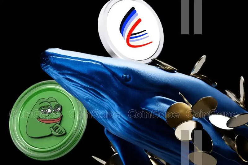 ***🐋*****Crypto Whale Bets Big On Pepe …