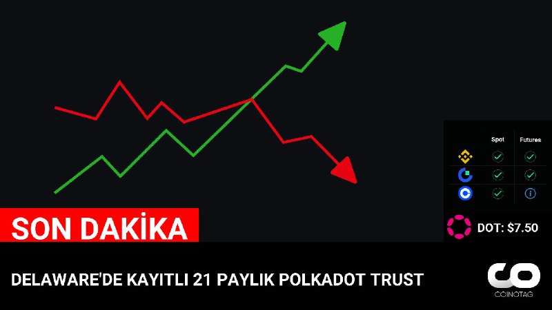 DELAWARE'DE KAYITLI 21 PAYLIK POLKADOT TRUST