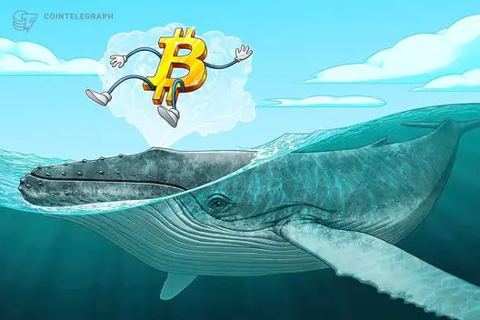 [⁠](https://images.cointelegraph.com/images/528_aHR0cHM6Ly9zMy5jb2ludGVsZWdyYXBoLmNvbS91cGxvYWRzLzIwMjQtMDMvODQ1MDU1ZTQtNDU4Ni00YmFiLTgxMmUtMTMyY2E3ZTM4ODliLmpwZw==.jpg)**Chi è 'Mr. 100'? Misteriosa whale di Bitcoin diventa il 14° più grande detentore di BTC**
