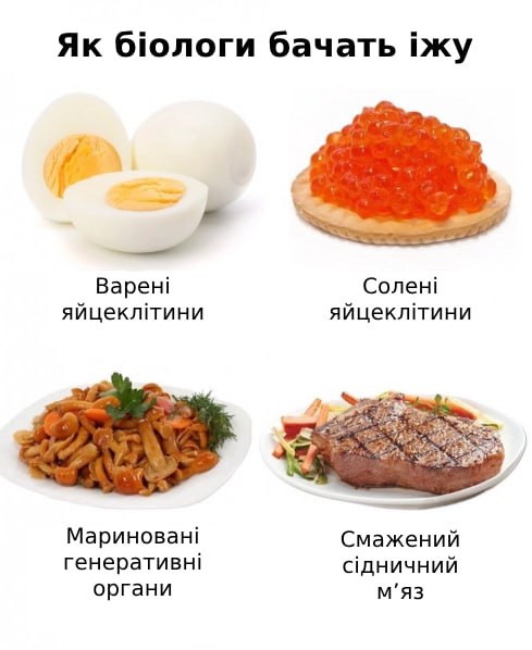 Холодний борщ