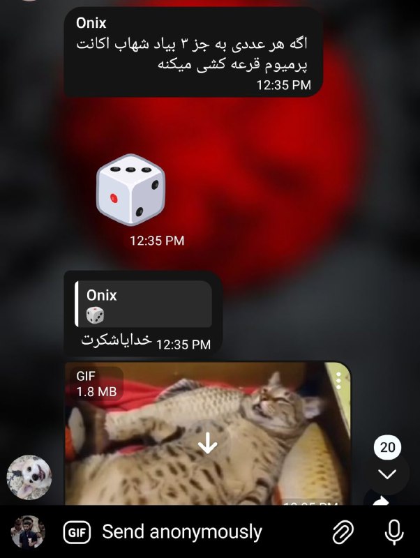 ???? ??: